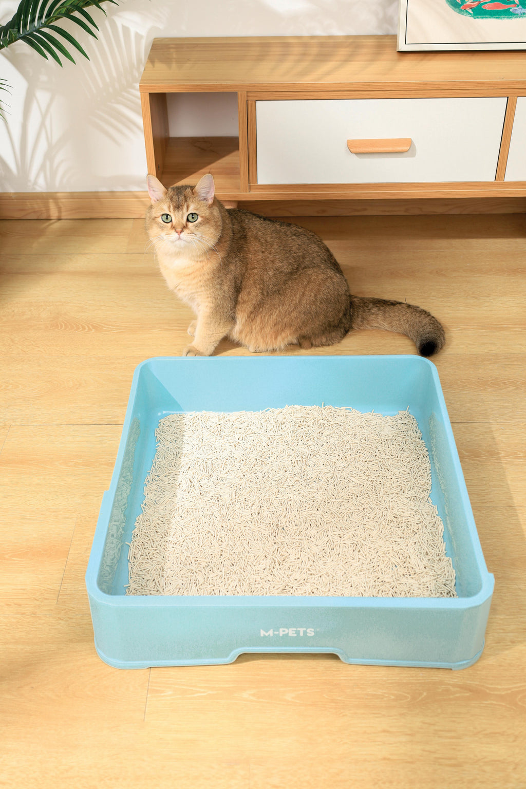 SOYA Organic Cat Litter  Natrual