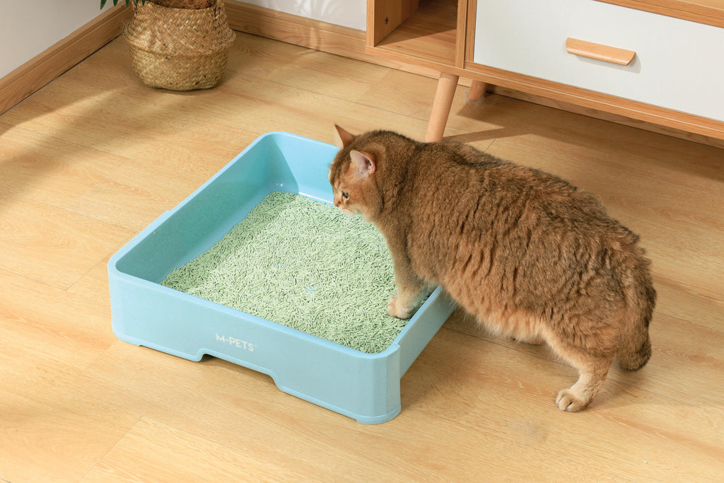 SOYA Organic Cat Litter Green Tea