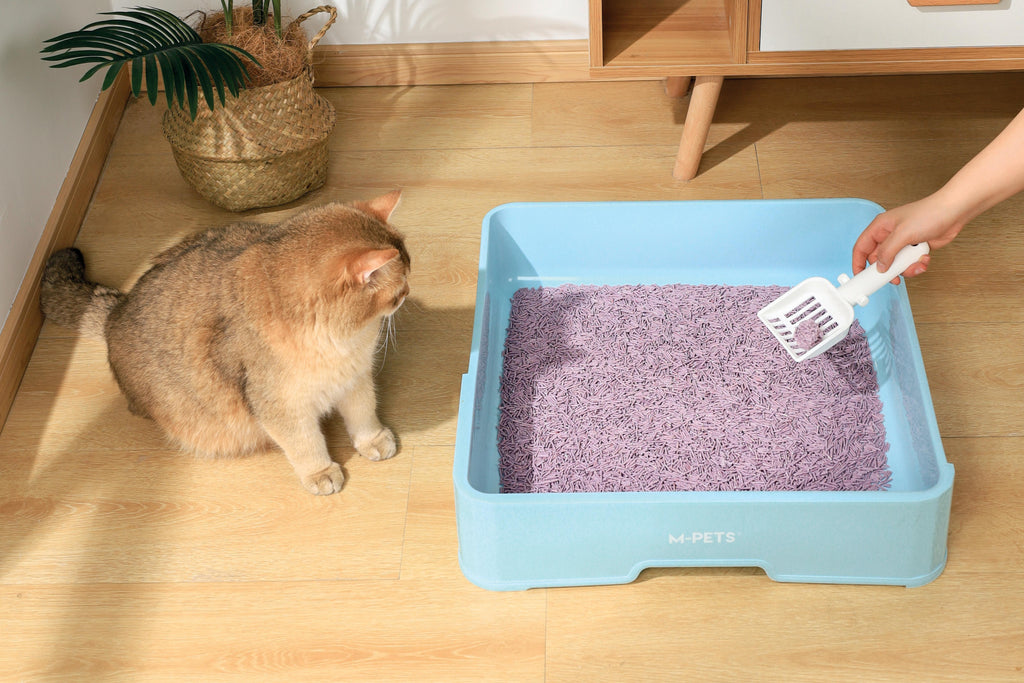 SOJA Biologische Kattenbakvulling Lavendel