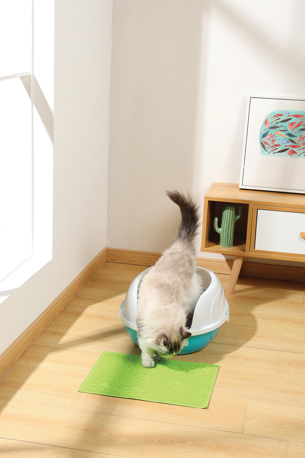 Tapis de litière pour chat FOOTPRINT Vert