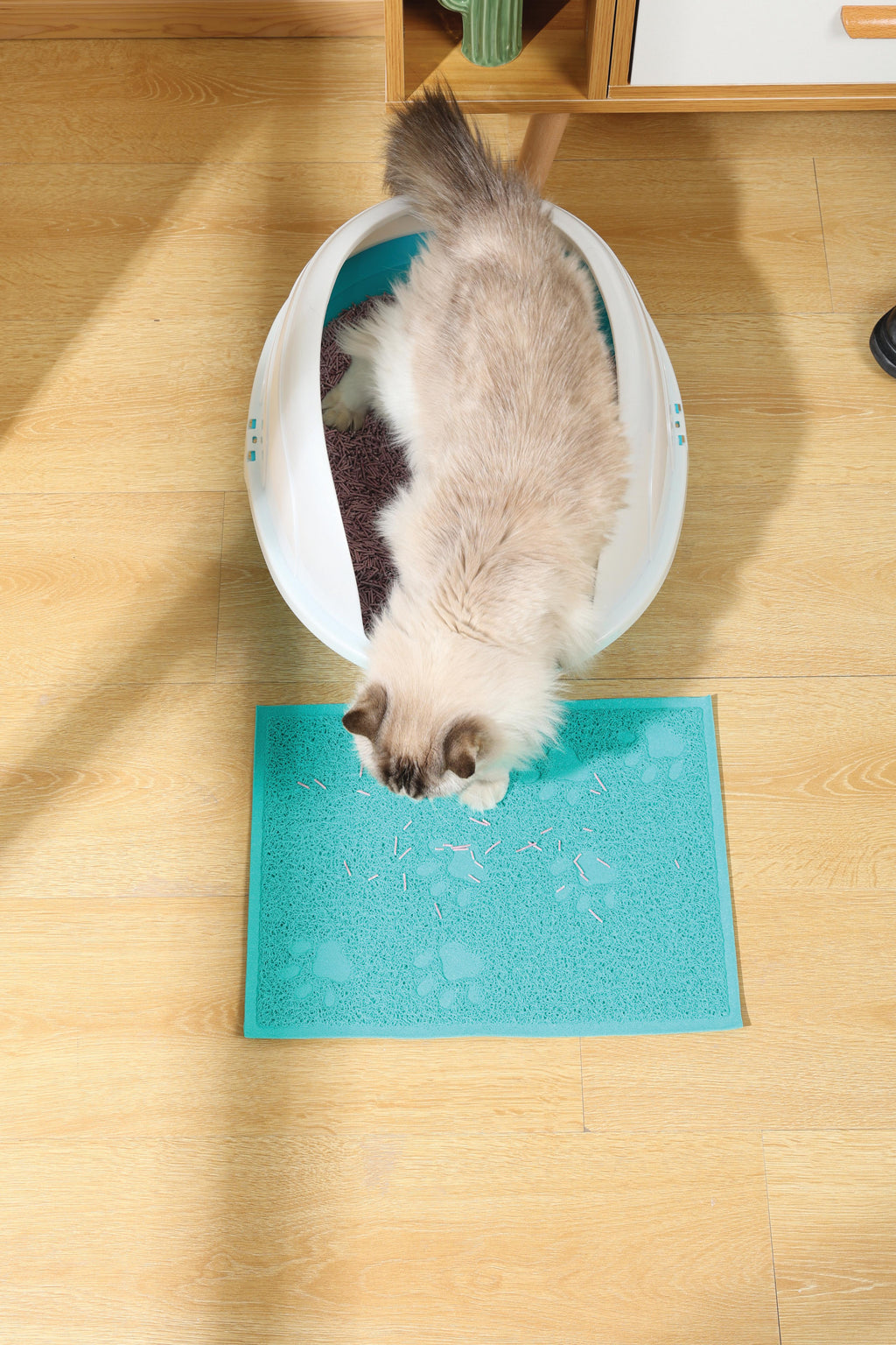 Tapis de litière pour chat FOOTPRINT Bleu