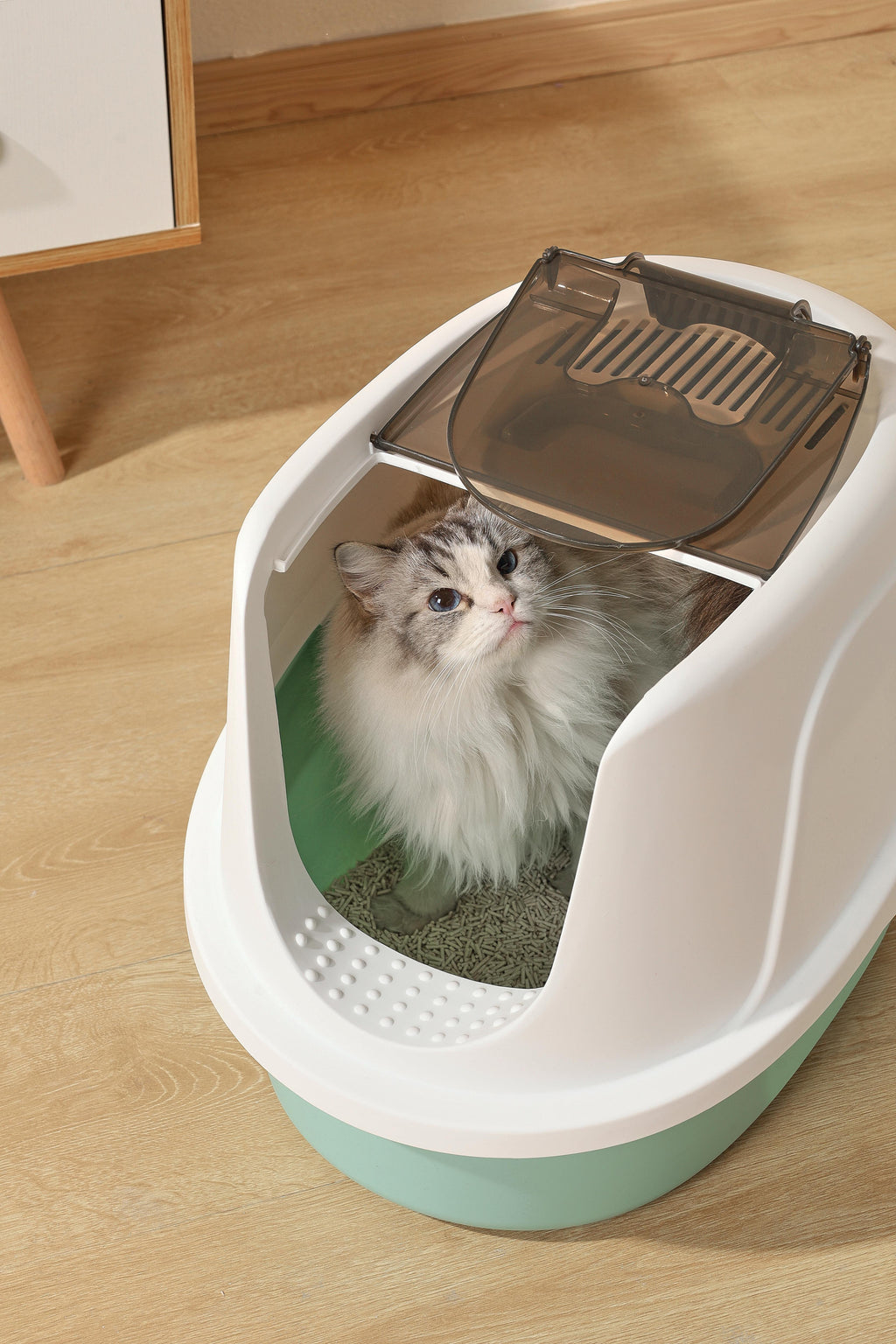 ECO TIMA Cat Litter Box - Sea Green