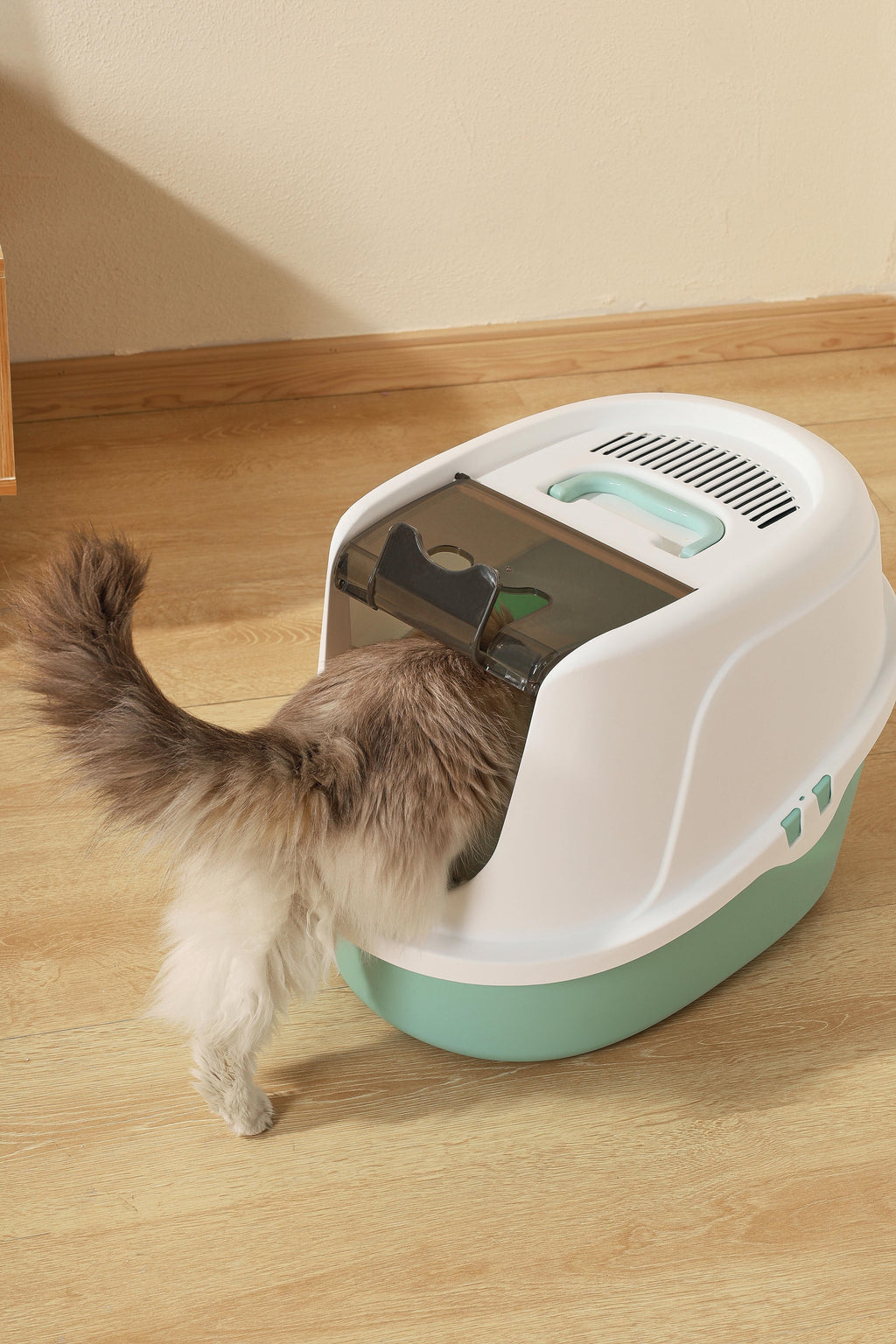 ECO TIMA Cat Litter Box - Sea Green