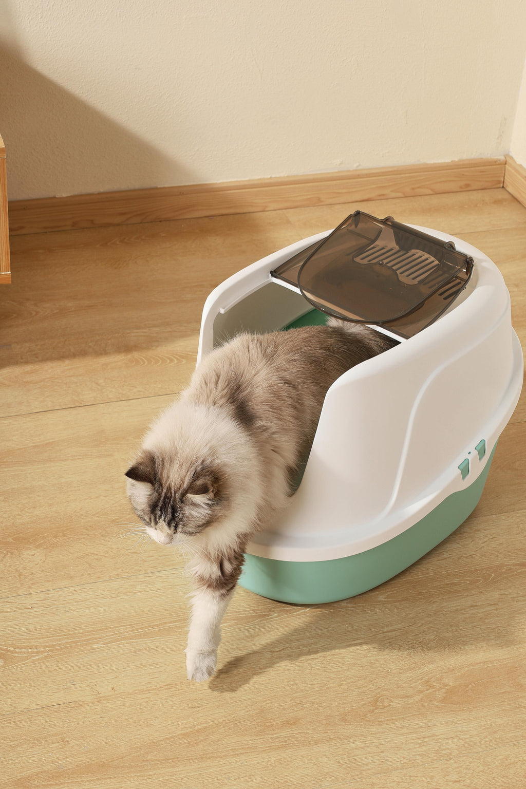 ECO TIMA Cat Litter Box - Sea Green