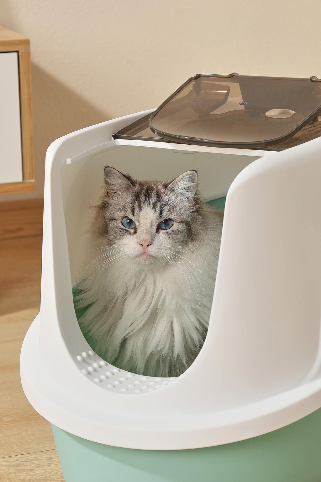 ECO TIMA Cat Litter Box - Sea Green