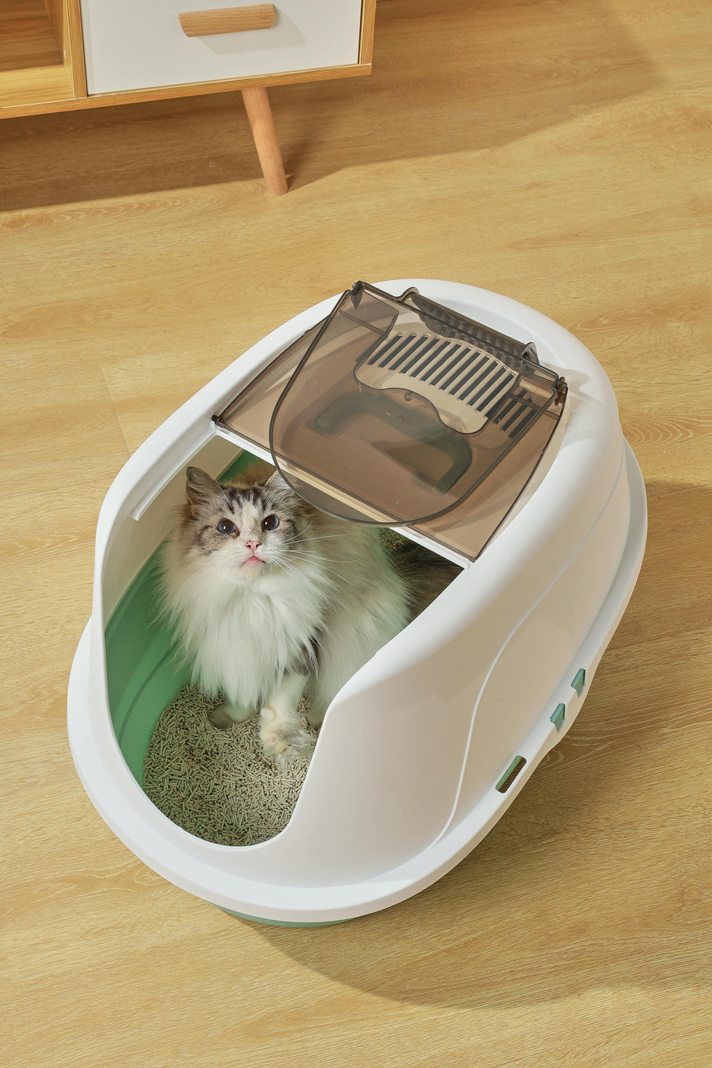 ECO TIMA Cat Litter Box - Sea Green