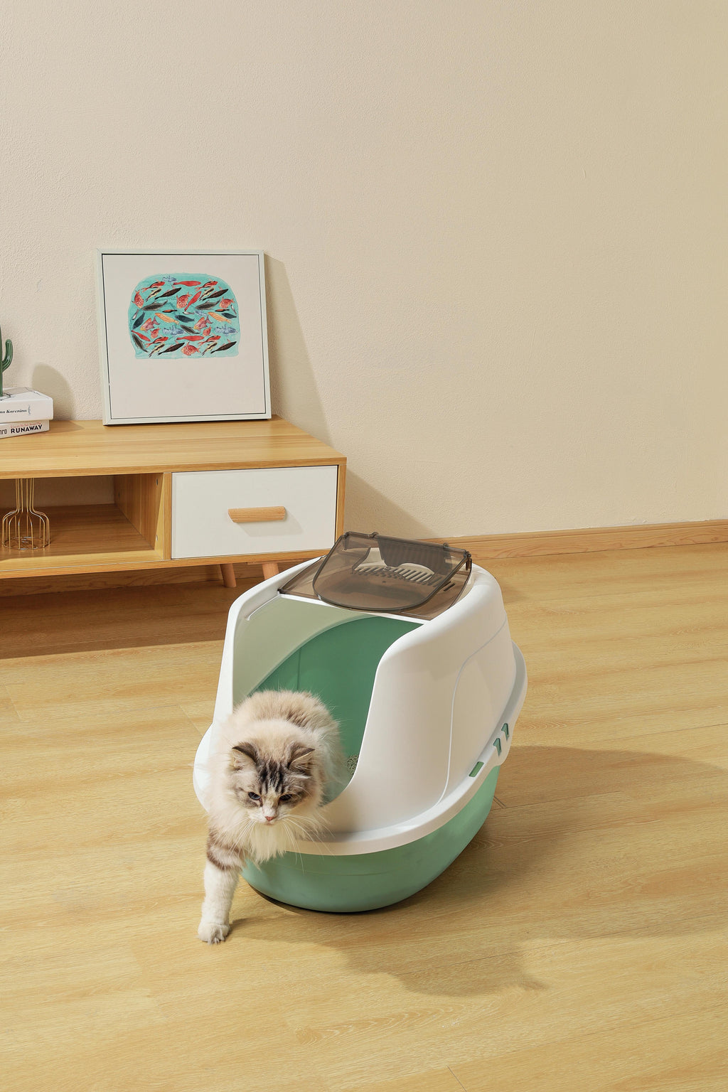 ECO TIMA Cat Litter Box - Sea Green