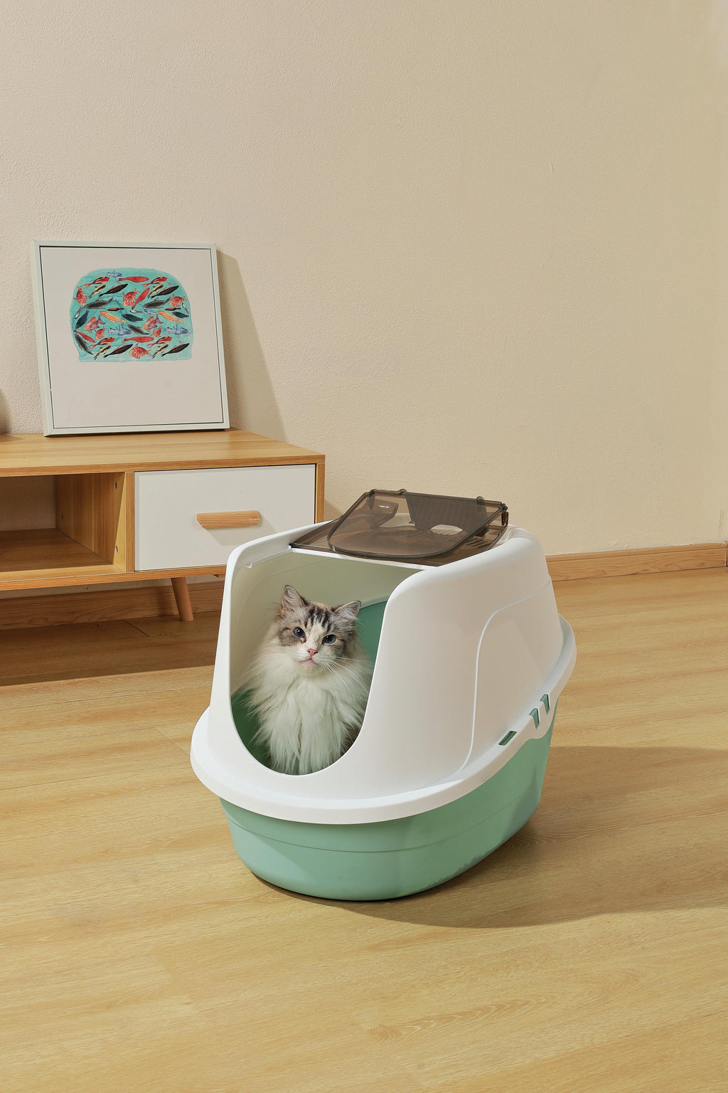 ECO TIMA Cat Litter Box - Sea Green