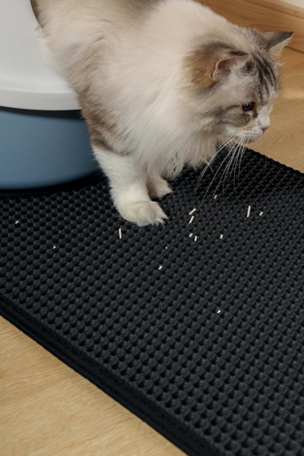 Tapis vertical pour litière pour chat DUPLEX - Noir