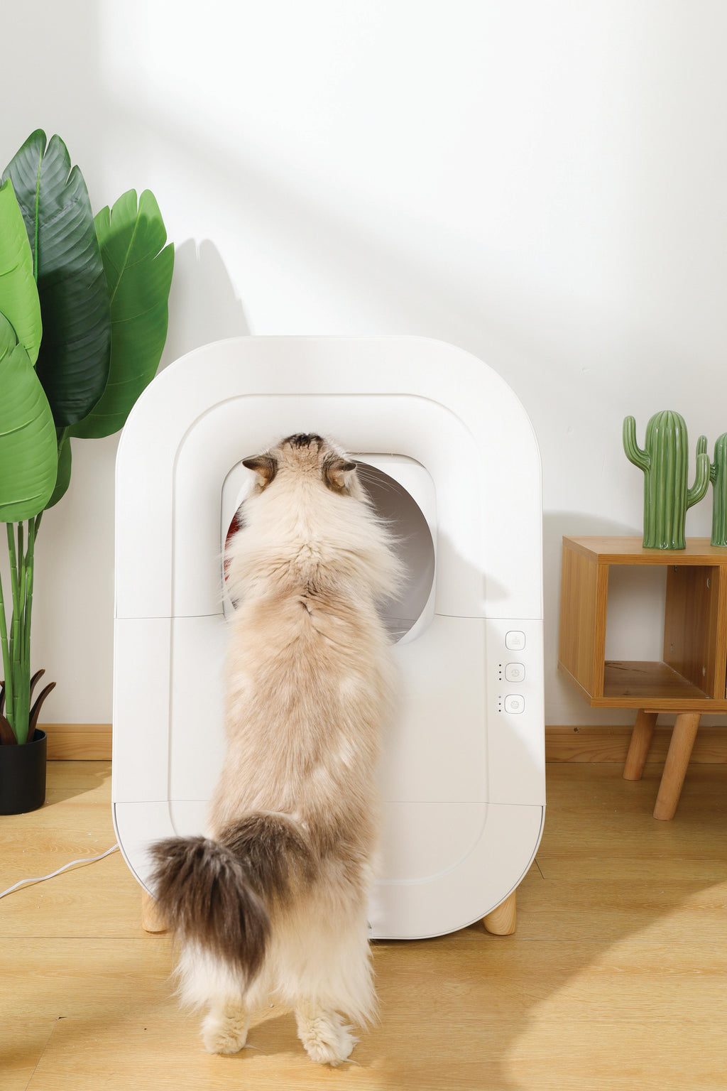 SMARTO M500 Automatic Cat Litter Box