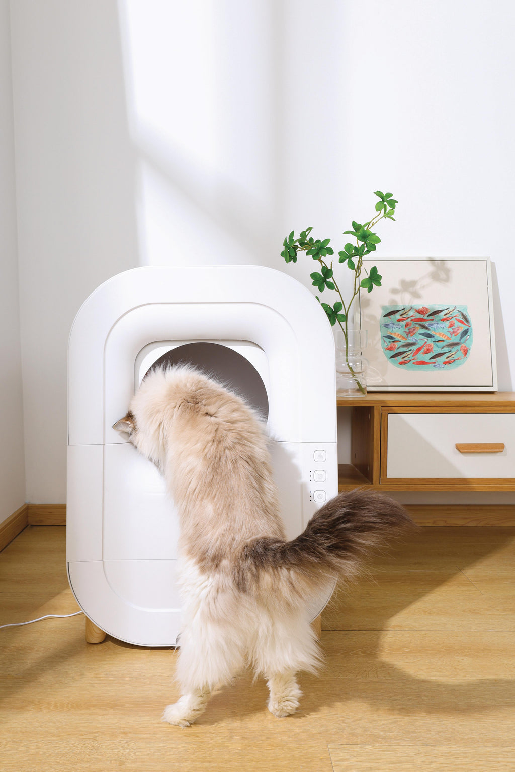 SMARTO M500 Automatic Cat Litter Box