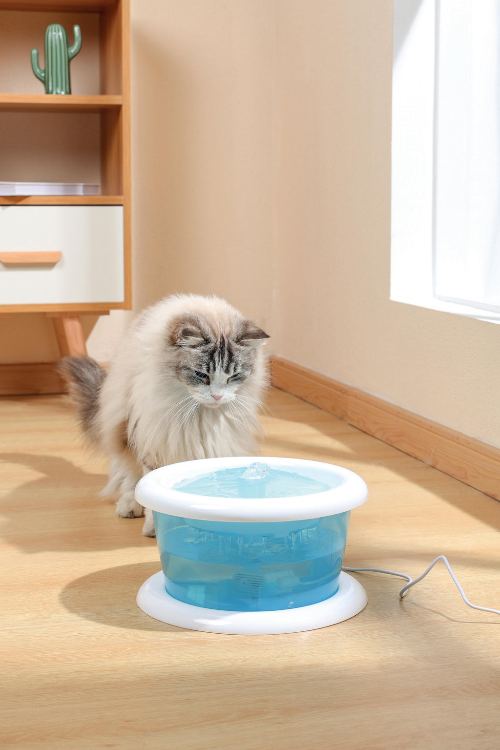 Fontaine à eau pour chats ALTAN