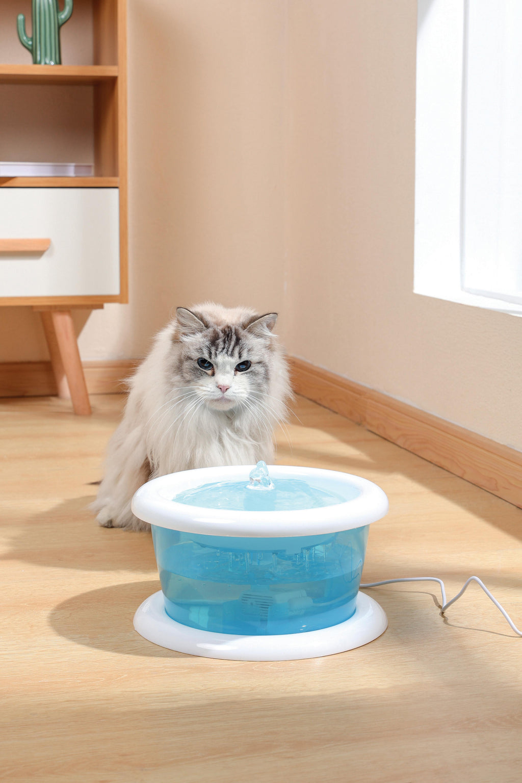 Fontaine à eau pour chats ALTAN