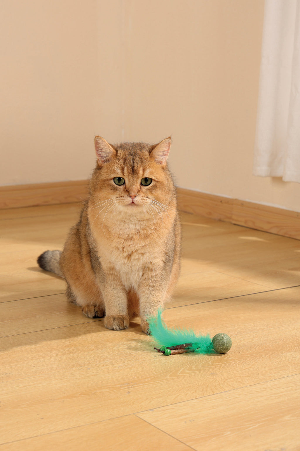 Jouet à l'herbe à chat CHARMY - BUGBEAR Vert