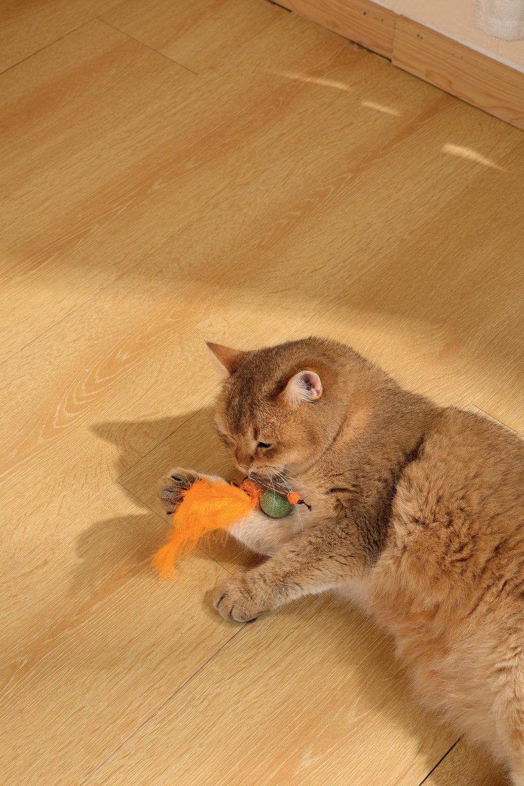 Jouet à l'herbe à chat CHARMY - BUGBEAR Orange