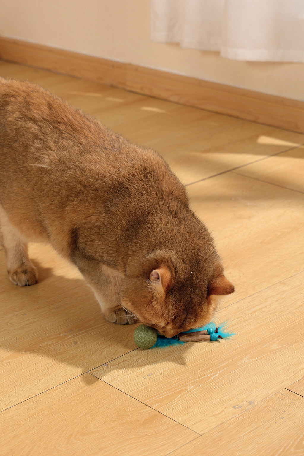 Jouet à l'herbe à chat CHARMY - BUGBEAR Bleu