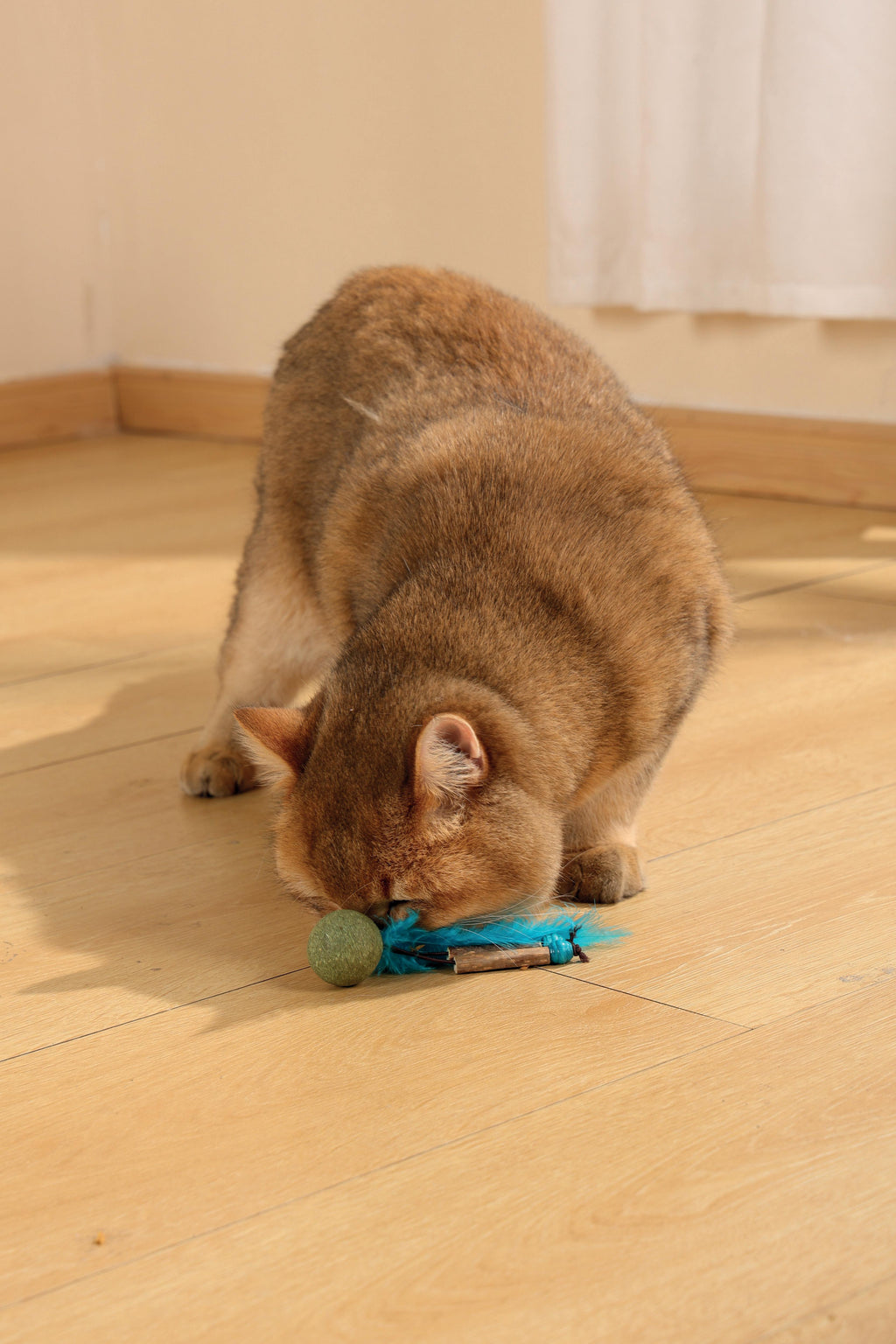 Jouet à l'herbe à chat CHARMY - BUGBEAR Bleu