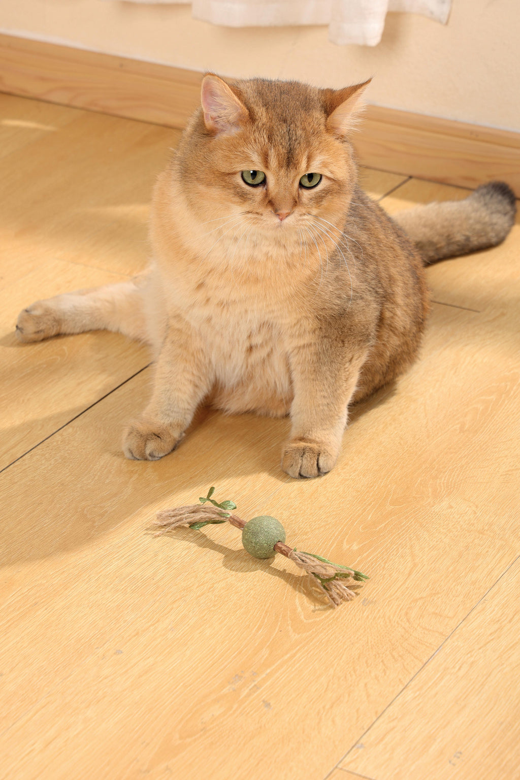 CHARMY Catnip Toy - TREE BRANCH Green