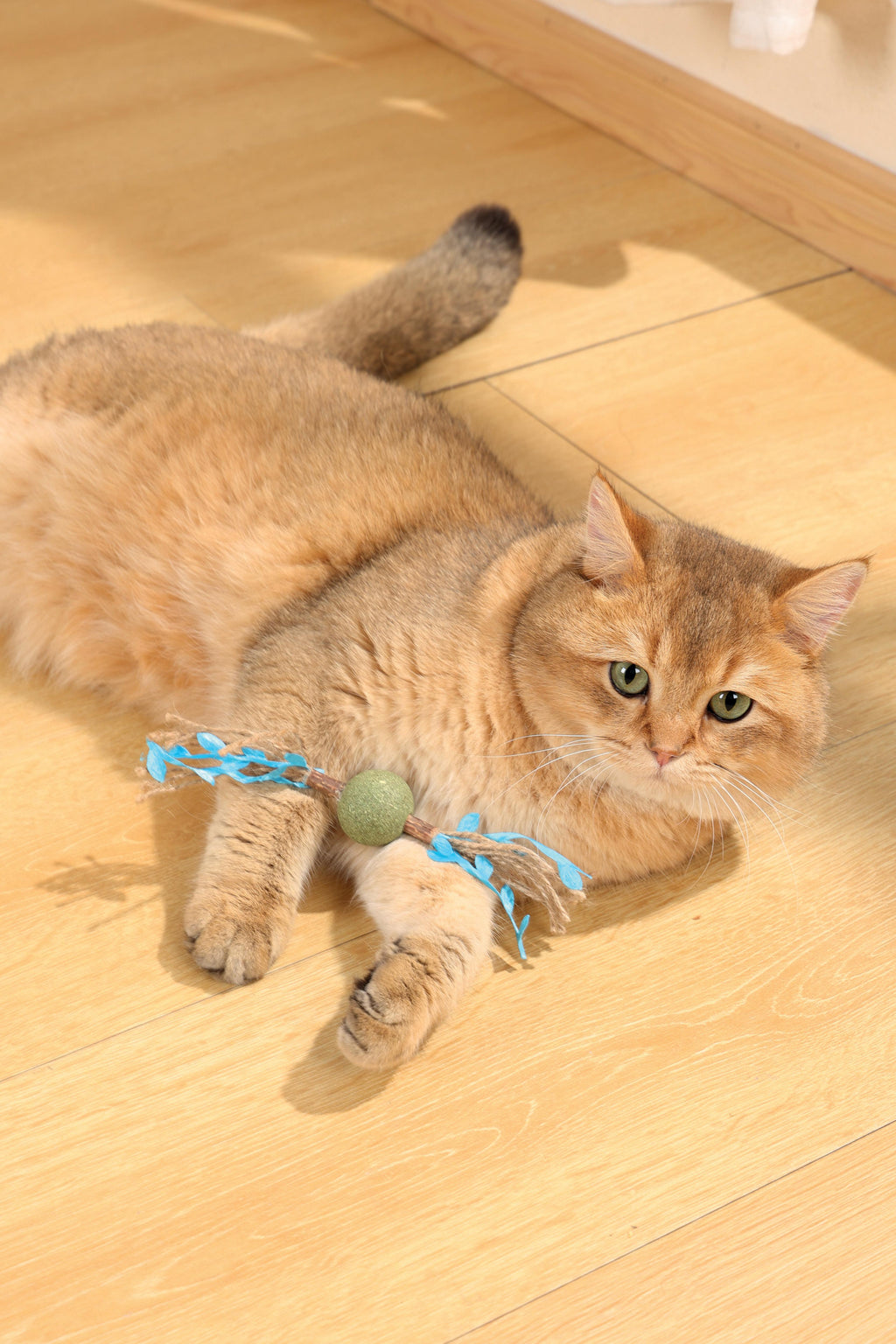 Jouet à l'herbe à chat CHARMY - BRANCHE D'ARBRE Bleu