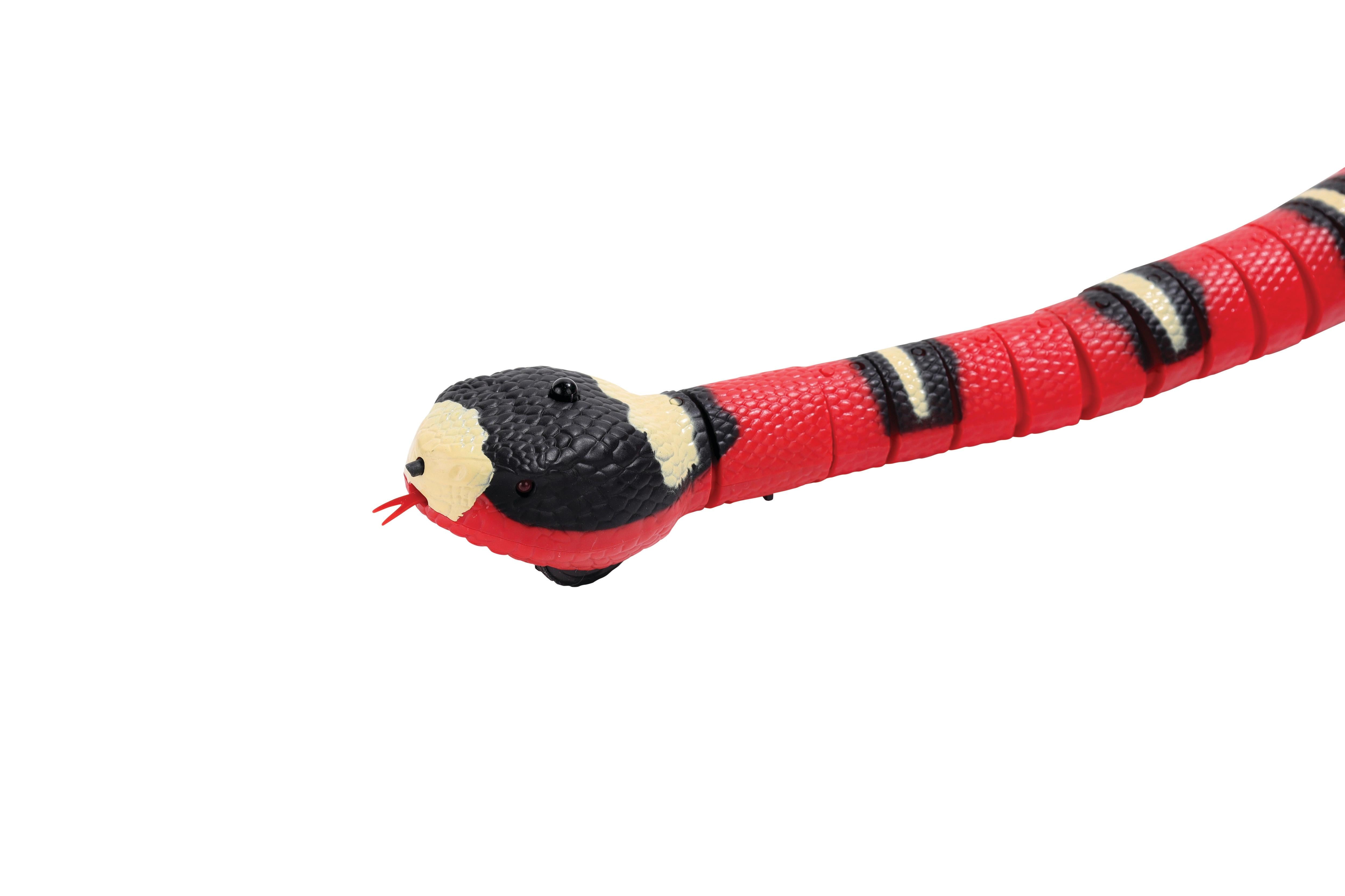 Sneaky Snake Interactive Cat Toy – M-PETS