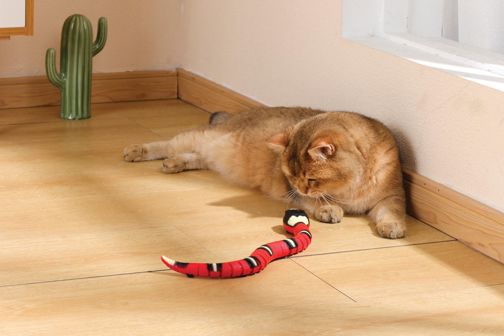 Sneaky Snake Interactive Cat Toy