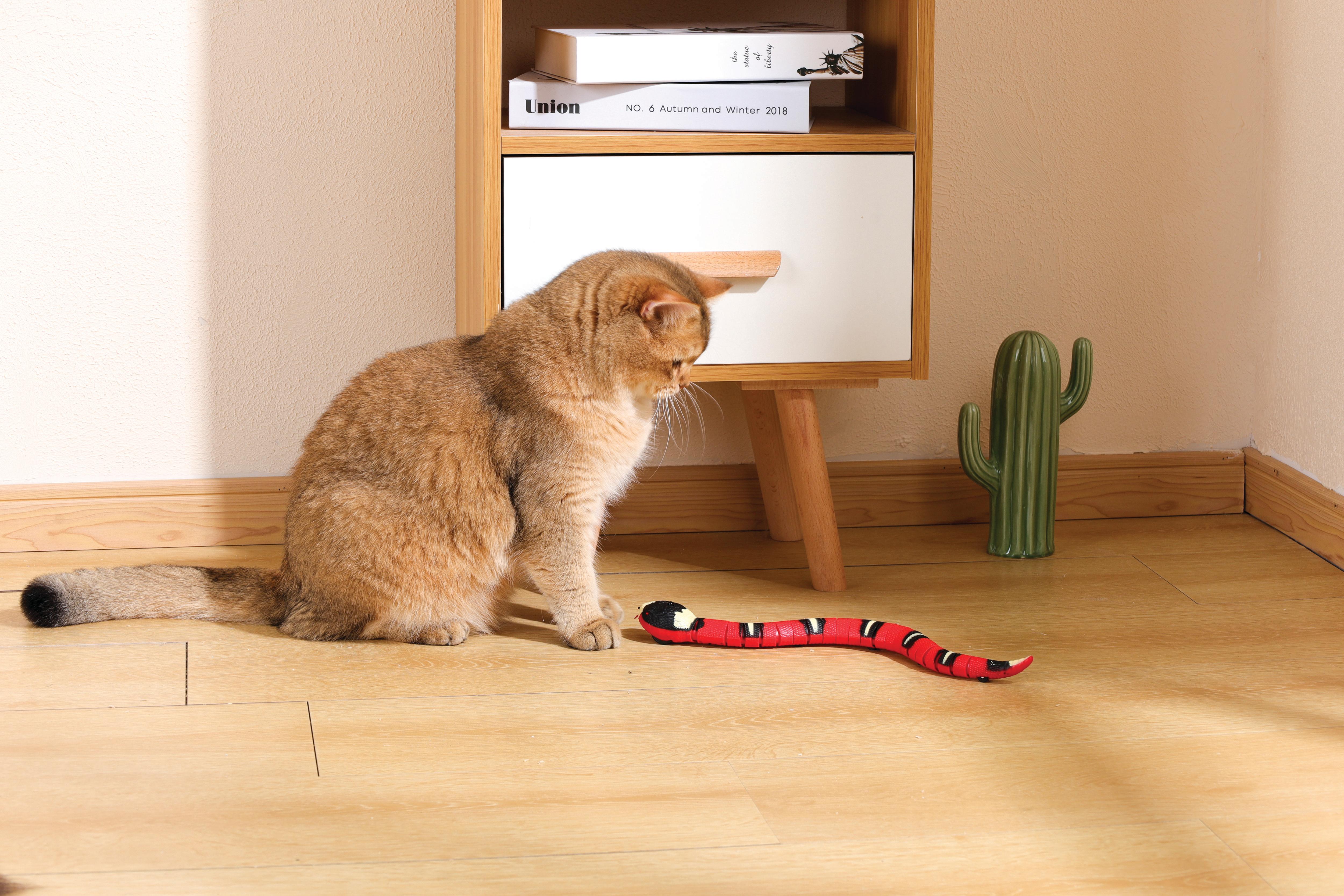 Kitty Riding Snake Sneaky Snake Interactive Cat Toy – M-PETS