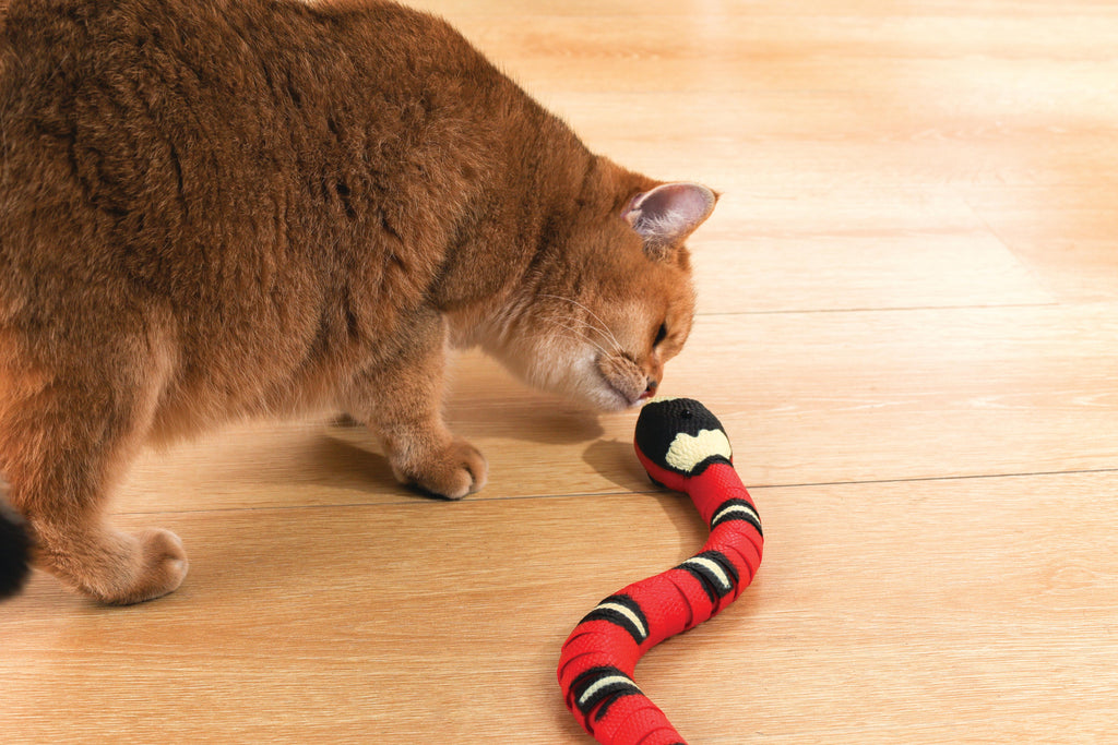 Sneaky Snake Interactive Cat Toy