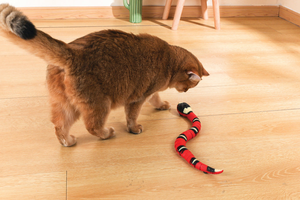 Sneaky Snake Interactive Cat Toy