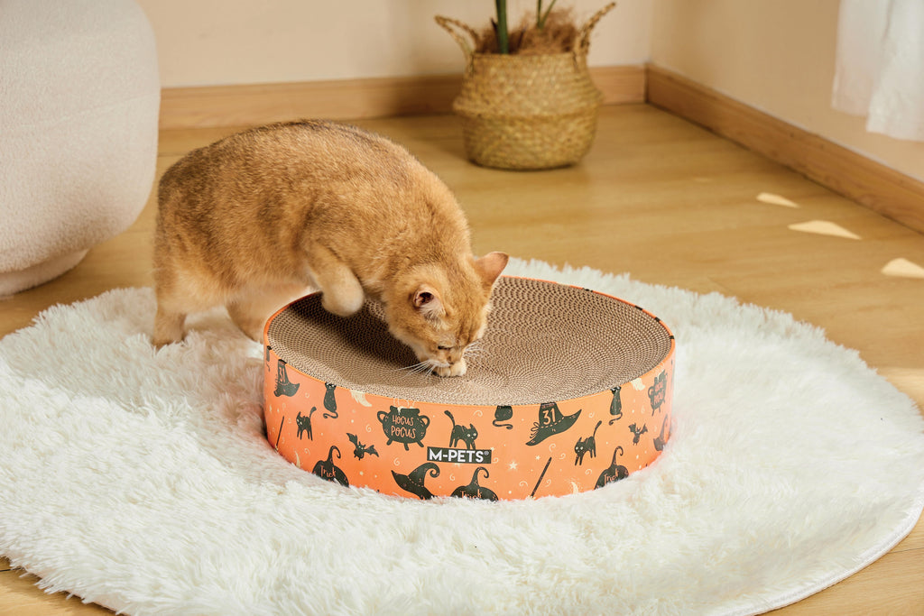 Griffoir pour chat d'Halloween - Mystic mix