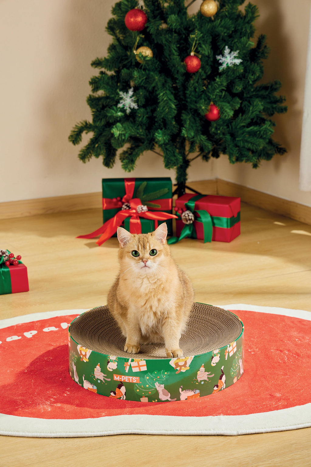 Christmas Cat Scratcher - Frosty mix