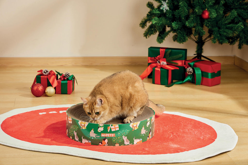 Griffoir de Noël pour chat - Mélange givré