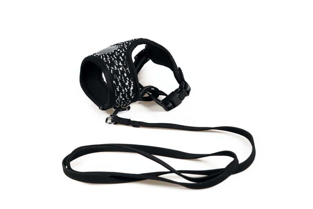 LETSGO Cat Harness & Leash Set -  Black