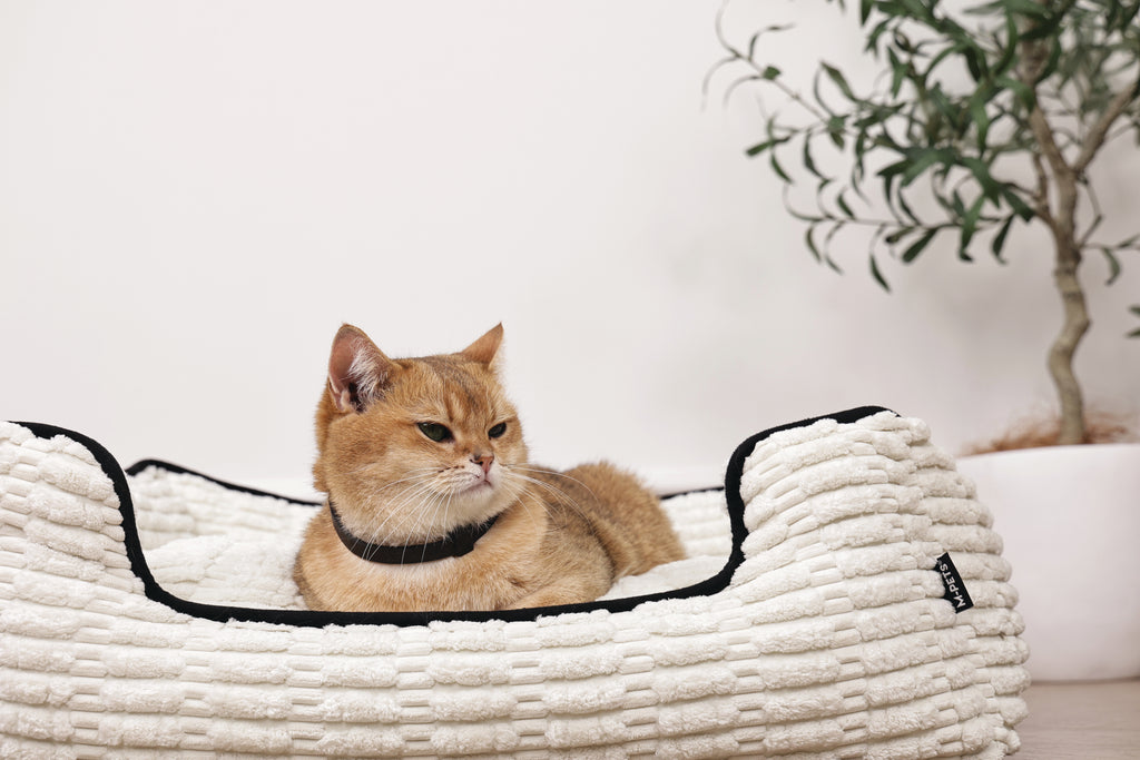 KEEP CALM - Calming pheromone collar set for cats 4 pcs