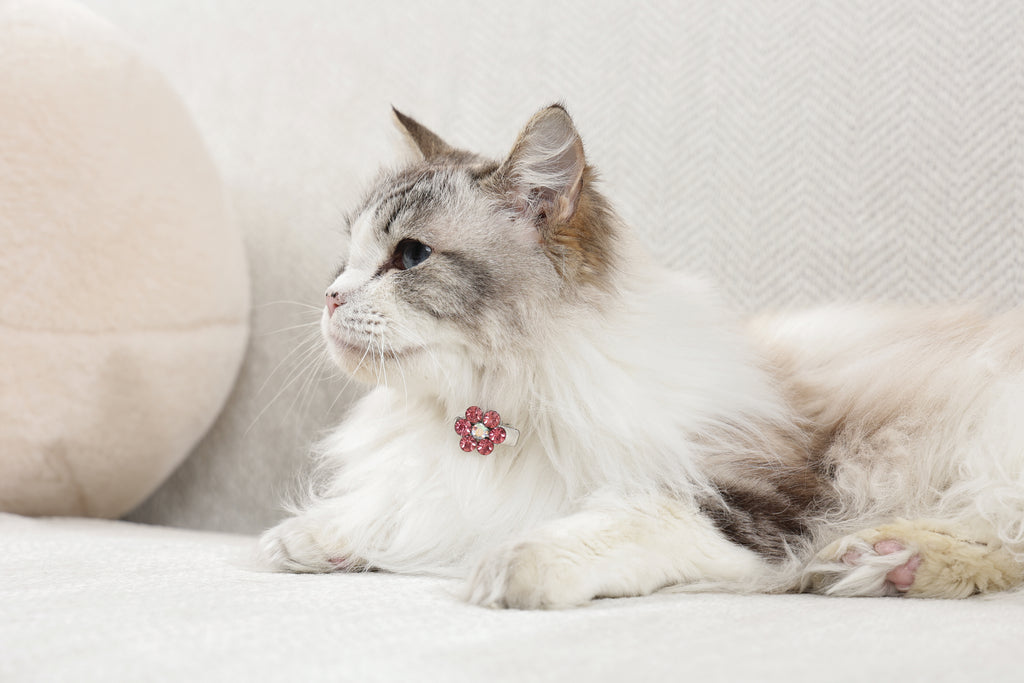 GLAM Hair Accessories for pets flower shape clip - Pink & White