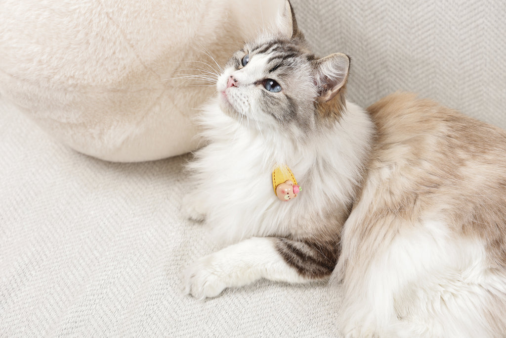 GLAM Hair Accessories for pets clip - Yellow