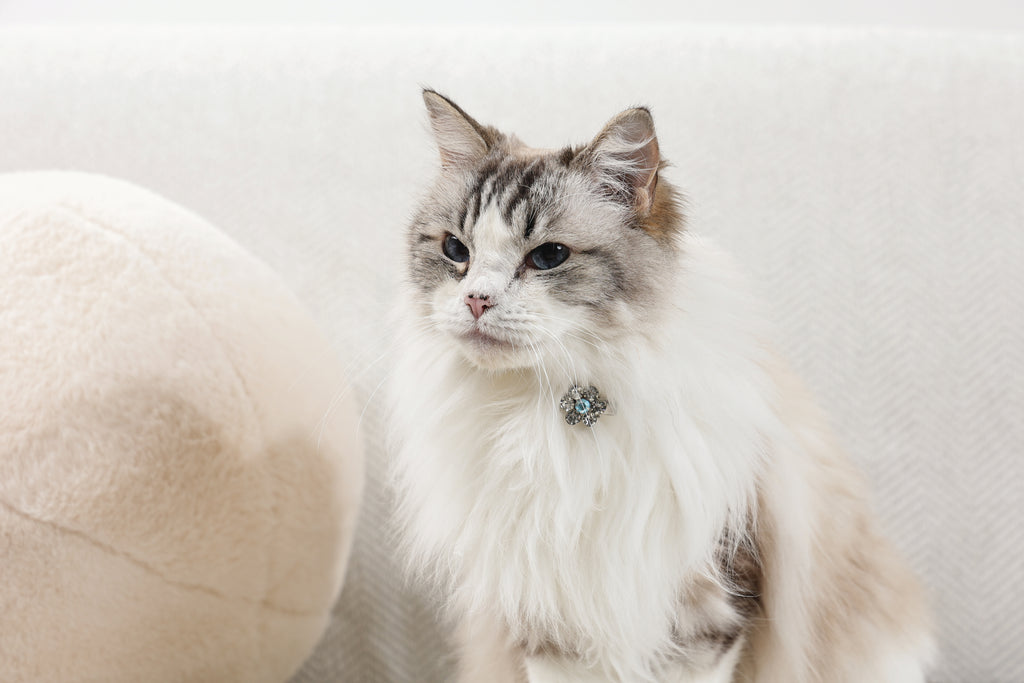 GLAM Hair Accessories for pets flower shape clip - Pink & White