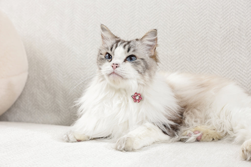 GLAM Hair Accessories for pets flower shape clip - Pink & White