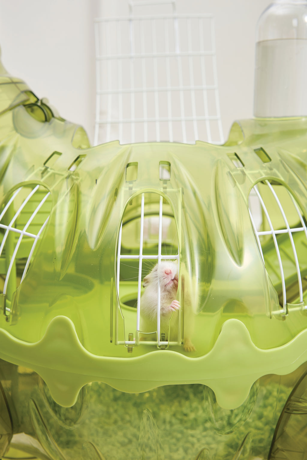Hamisaurus Hamster toy