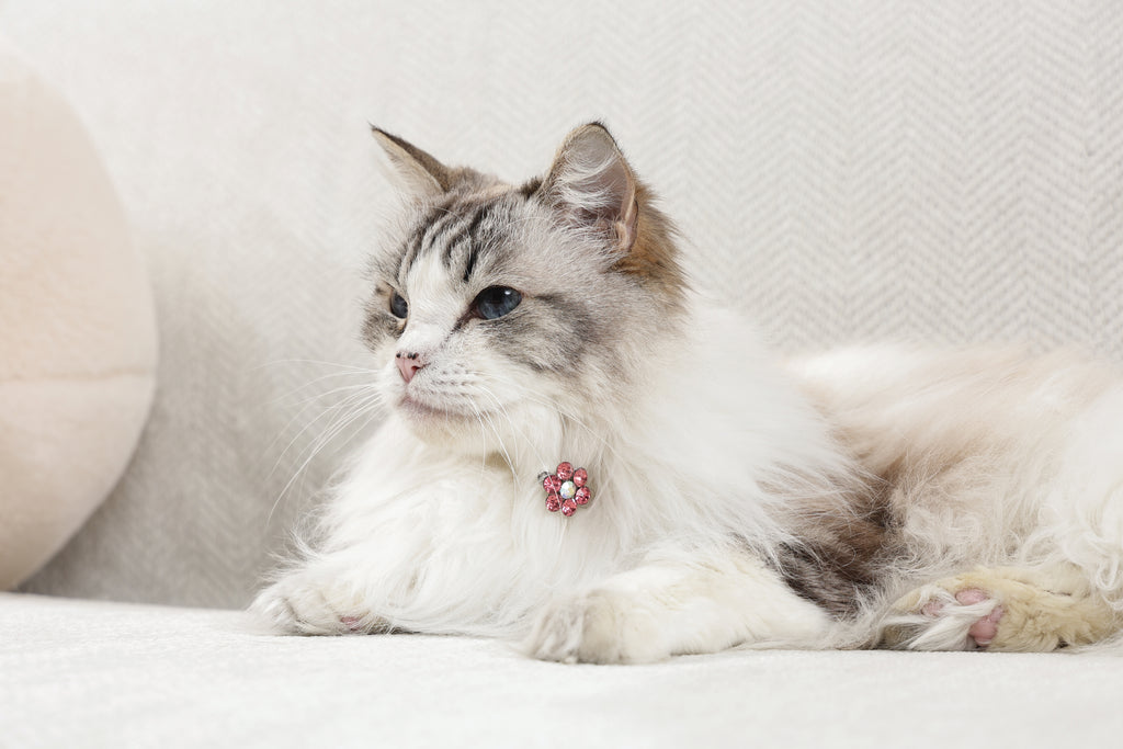 GLAM Hair Accessories for pets flower shape clip - Pink & White