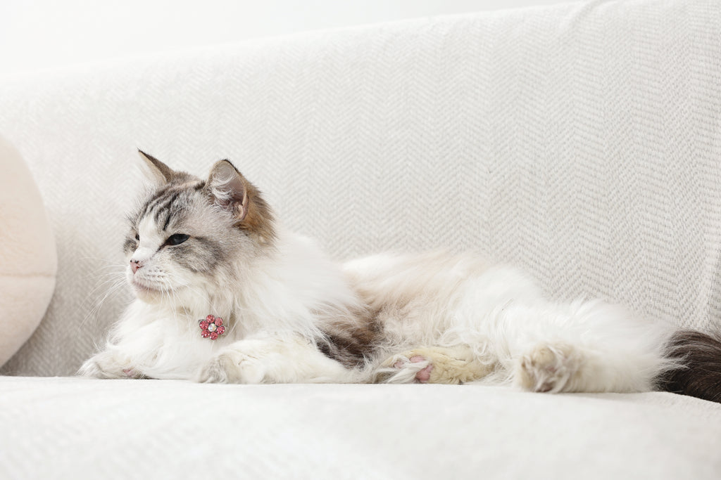 GLAM Hair Accessories for pets flower shape clip - Pink & White