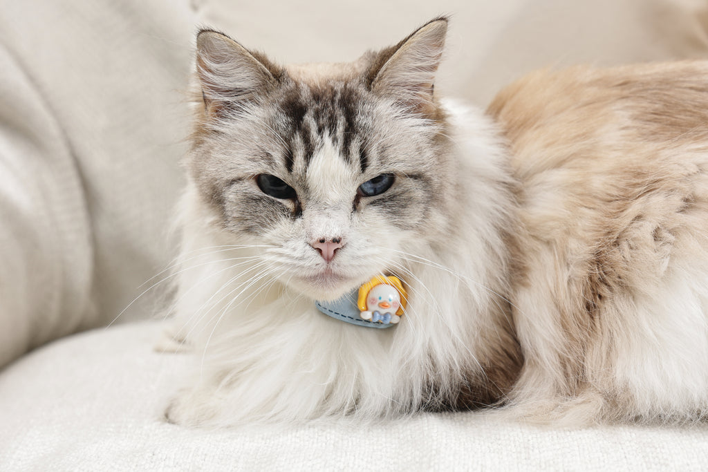 GLAM Hair Accessories for pets clip - Yellow