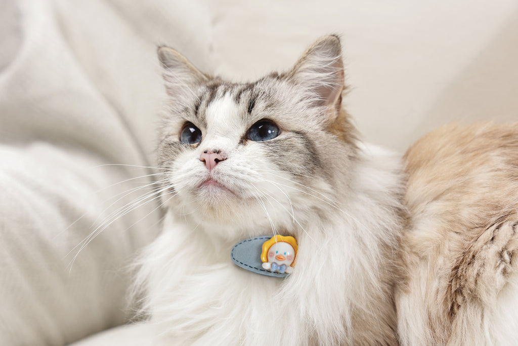 GLAM Hair Accessories for pets clip - Yellow