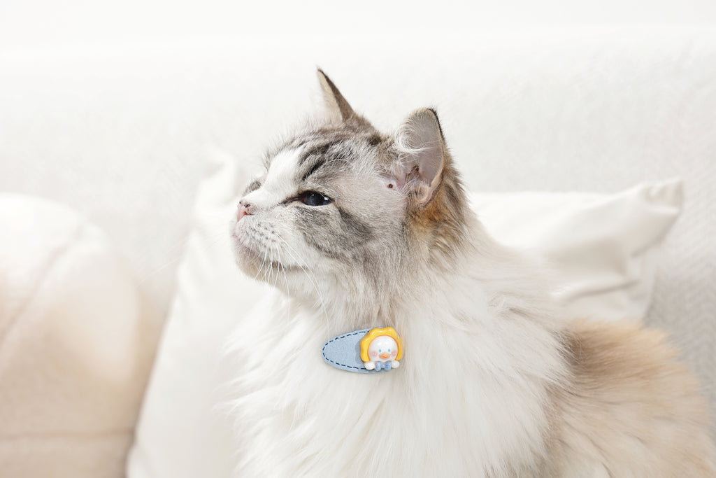 GLAM Hair Accessories for pets clip - Yellow