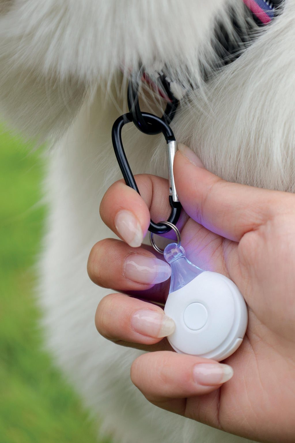 Fearless Ultrasonic flea and Tick Repeller-White