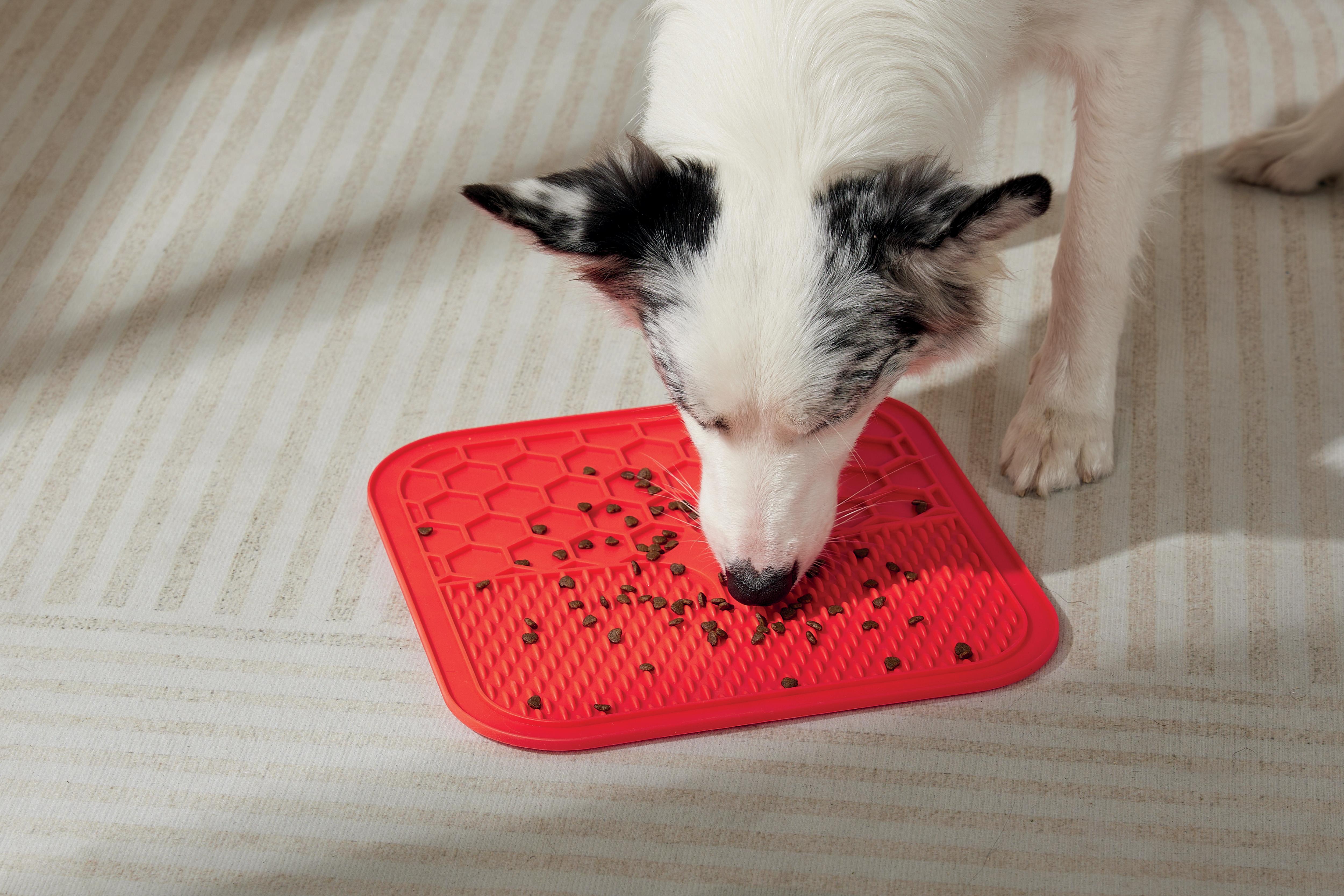 LECCA Mat Red – M-PETS
