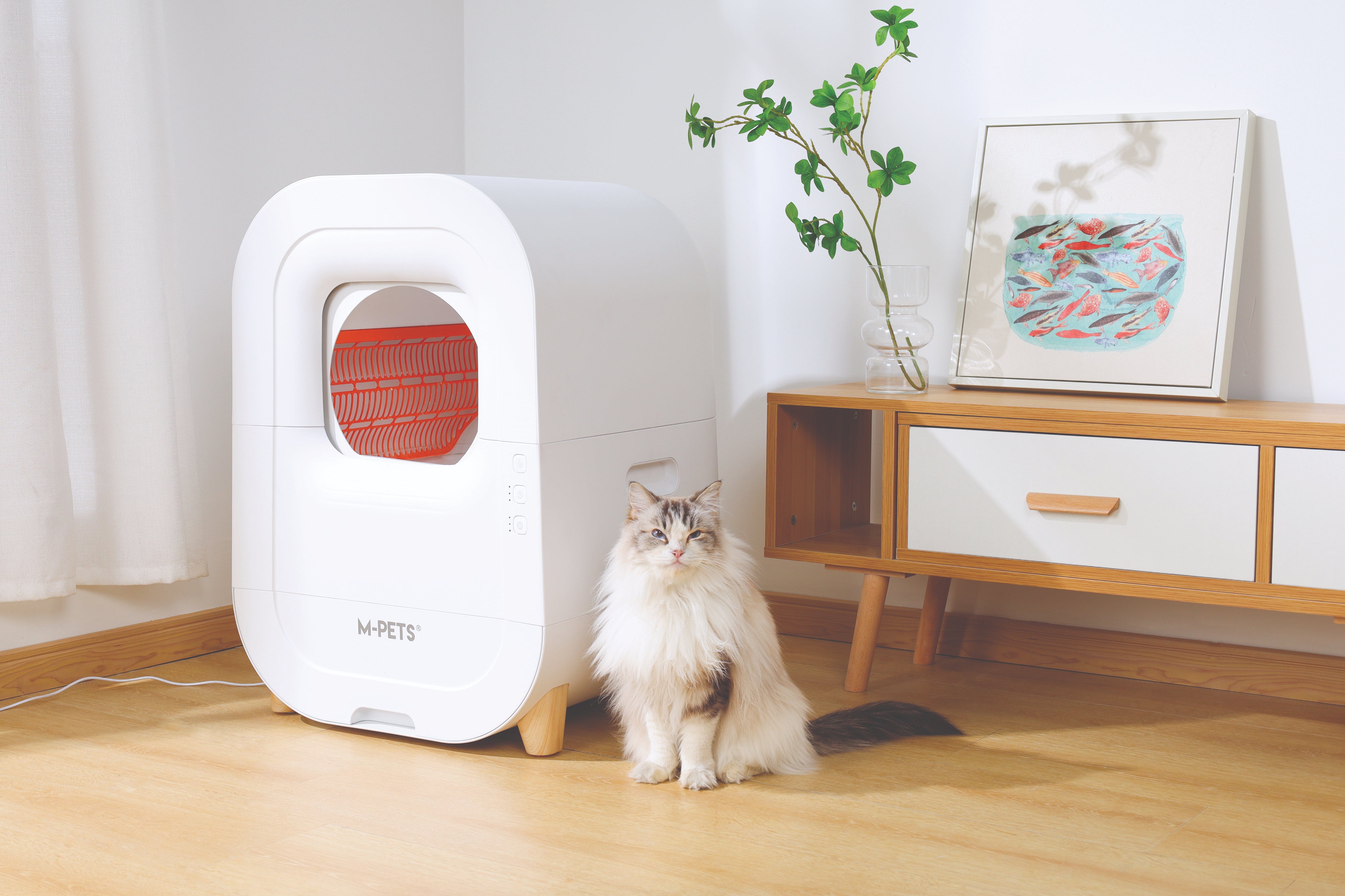 ◆Cat◆ Steam Workshop::zxc cat