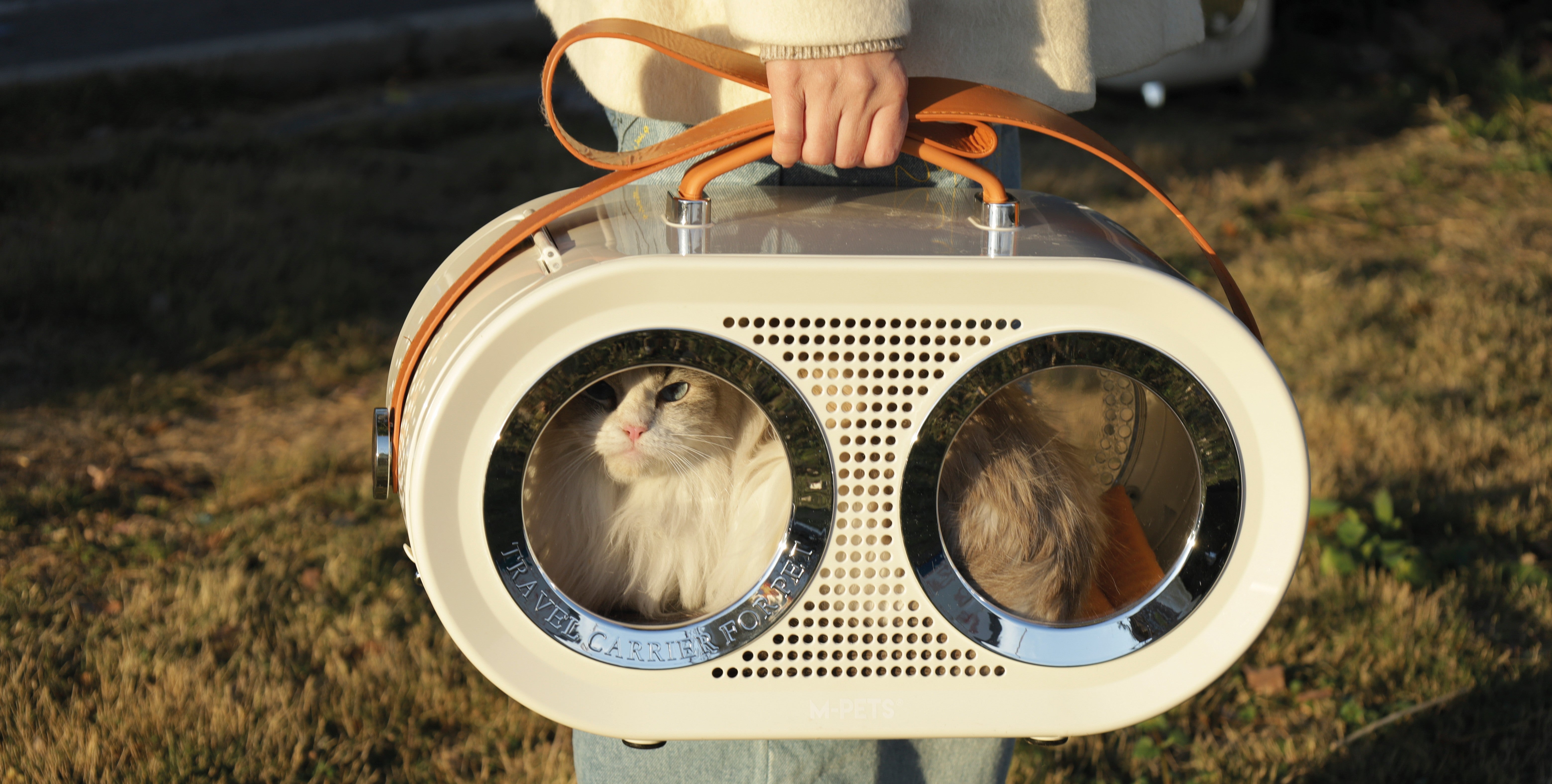 Sixties – M-PETS