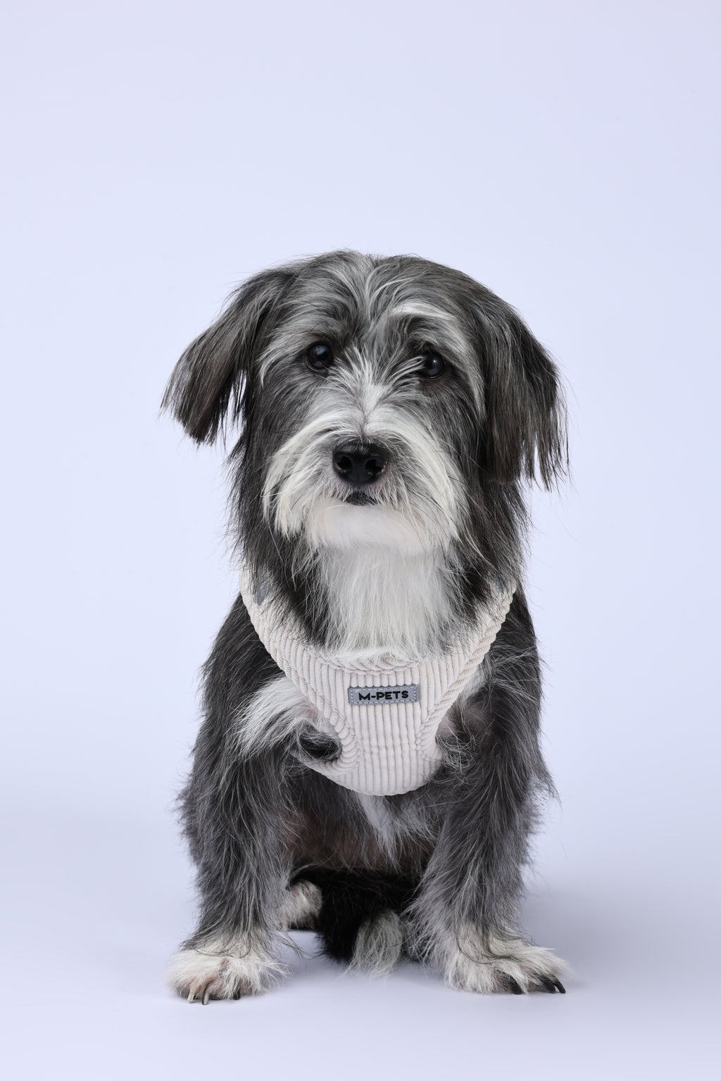 VELVET Dog harness Oat Beige