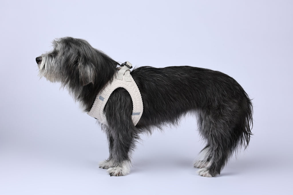 VELVET Dog harness Oat Beige