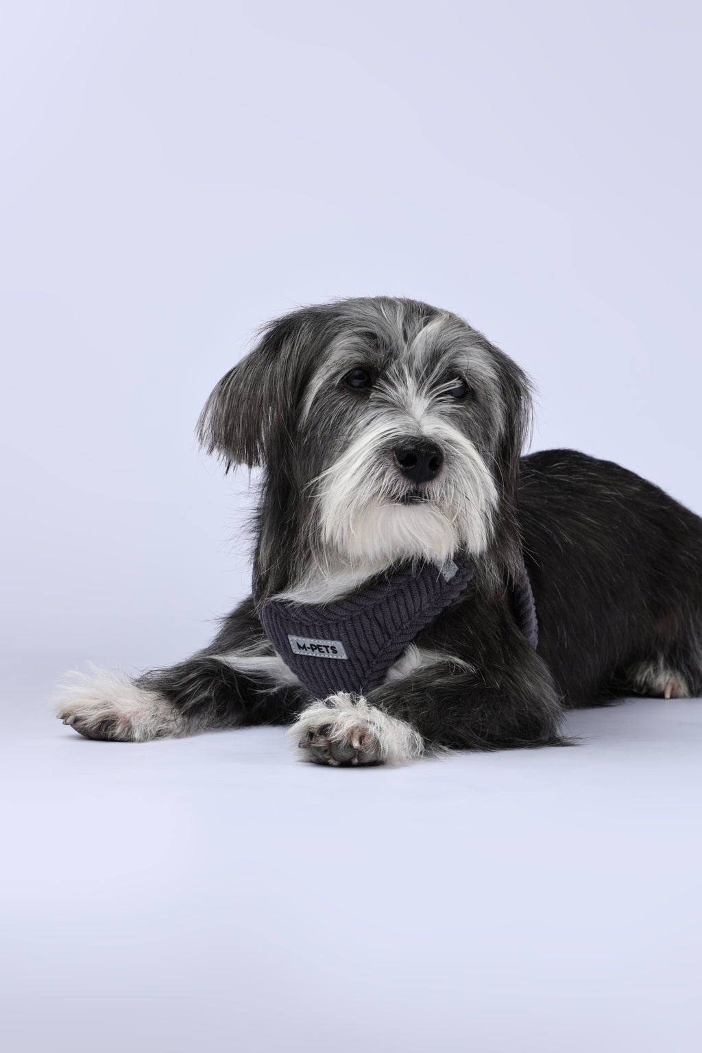 VELVET Dog harness Misty Grey